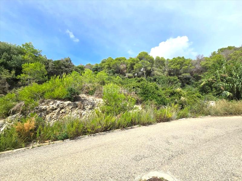 Foto 4925ed13-12b6-42d8-95af-76361ae3c18d. Terreno residencial en costa Cunit - els jardins - els rosers Cunit