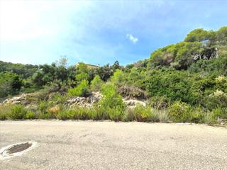 Residential Plot  Via lactia