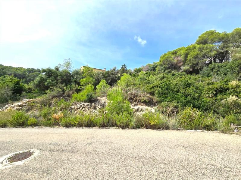 Foto c3d8fdf2-9a76-49a1-ae33-c376b5a981b5. Terreno residencial en costa Cunit - els jardins - els rosers Cunit
