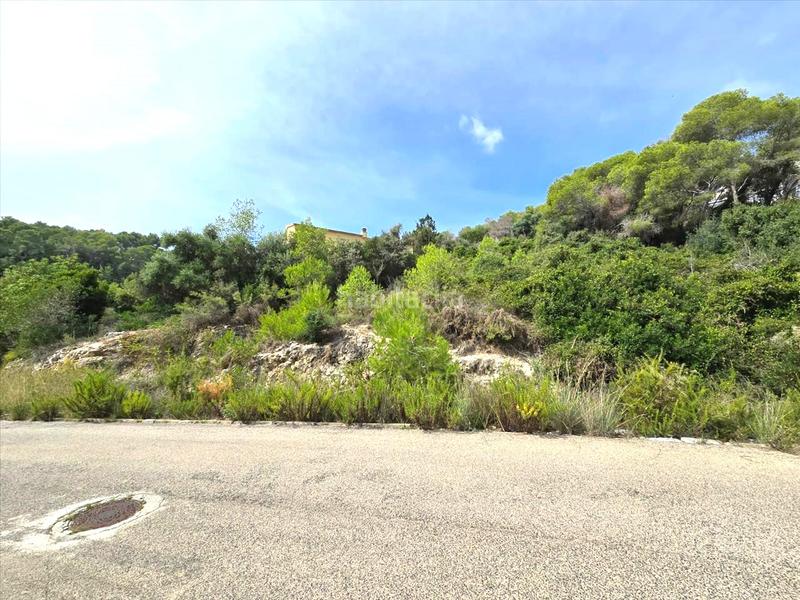 Foto 347393cc-aa21-407f-a05c-b1a5b40b10bc. Terreno residenziale in costa Cunit - els jardins - els rosers Cunit