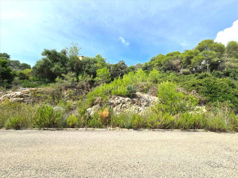 Foto ab1b6cd8-6542-47ff-8f26-a7f27dd62ae7. Terreno residenziale in costa Cunit - els jardins - els rosers Cunit