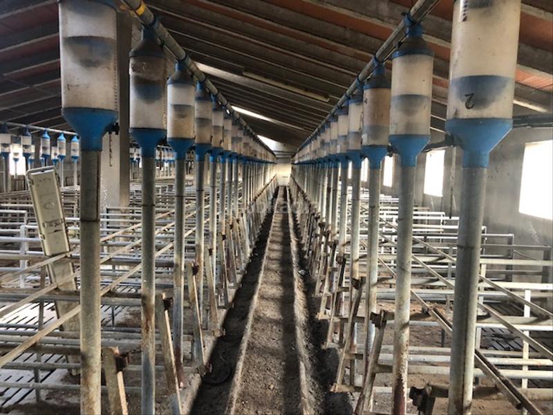 Foto d620f4db-216d-4427-b84e-d0f25691e82d. Nave industrial en Fuentepelayo