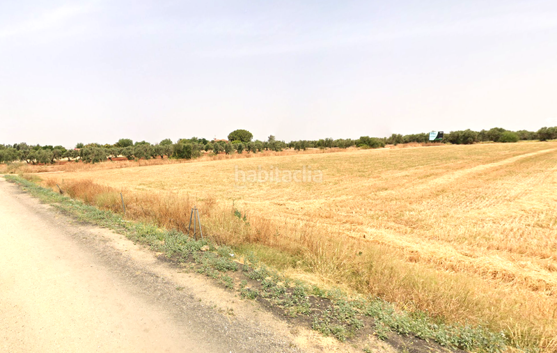 Foto 7613fe20-70e5-43cf-b0f8-991f71bbced1. Terreno residenziale in La Motilla - Fuente del Rey Dos Hermanas