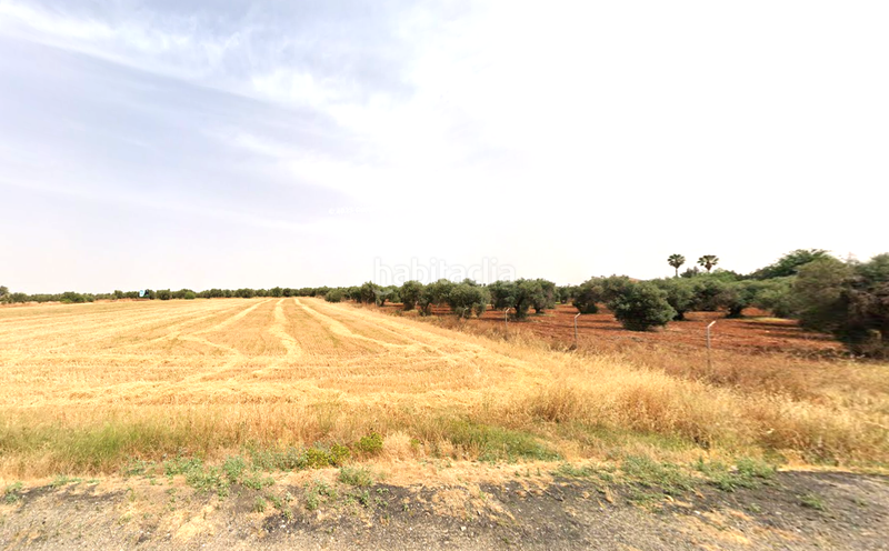 Foto 7e243bc1-a0ed-4525-8504-15988acd693e. Terreno residenziale in La Motilla - Fuente del Rey Dos Hermanas