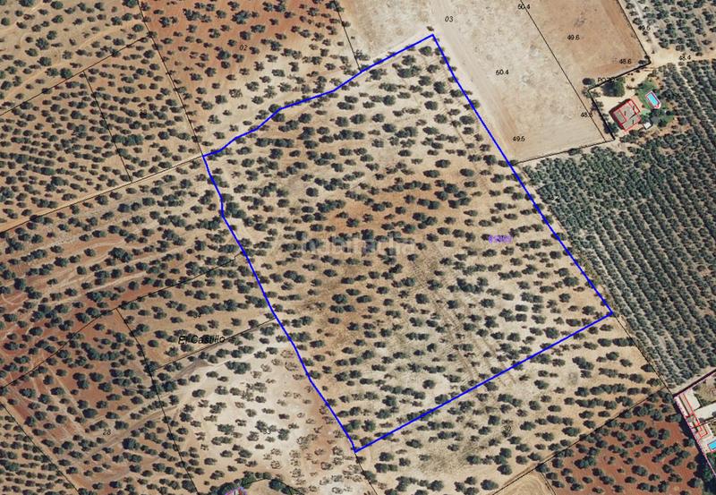 Foto b5c8c082-1925-4b3c-948d-96eb7ff4dc2f. Terreno residenziale in La Motilla - Fuente del Rey Dos Hermanas