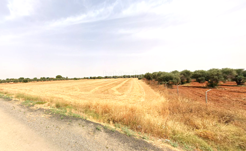 Foto f0c64e7a-6504-44b2-b5f7-7a1186c77d51. Terreno residenziale in La Motilla - Fuente del Rey Dos Hermanas