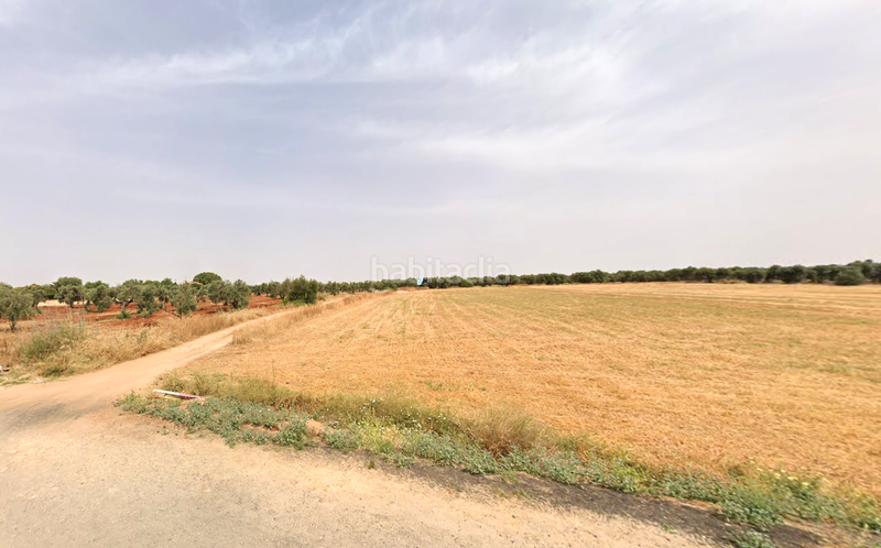 Foto f969f05a-6d04-4a90-bbf9-4f9553723328. Terreno residenziale in La Motilla - Fuente del Rey Dos Hermanas