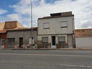 Flat  Palmar