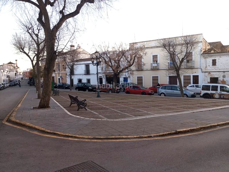 Foto 324aa36e-1753-4f13-851a-2ed083908116. Pis a Zafra