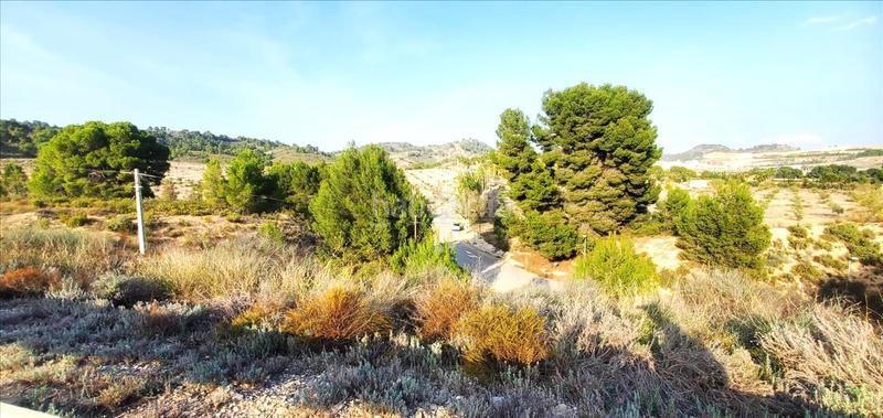 Foto 242f1035-827d-4769-a6c8-26ddc7001c24. Residential plot in Mula