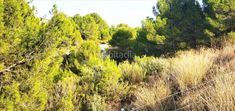 Foto 680fa030-4040-4e6b-b547-288acd422be1. Residential plot in Mula