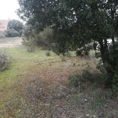 Residential Plot  Hospital de san andres