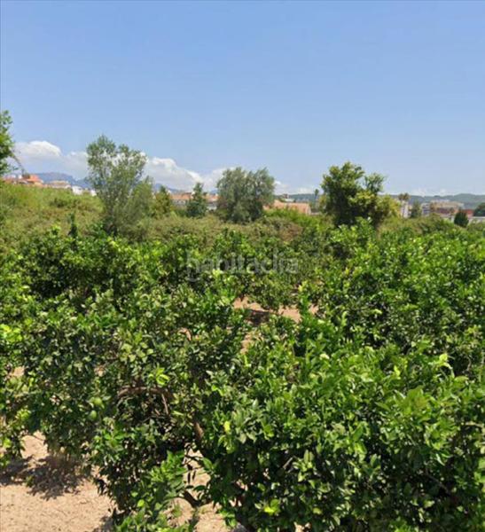 Foto 081ea97c-52a9-4916-ba67-da7a662ab61f. Wohngrundstück in El Dossel - Mareny de San Lorenzo Cullera