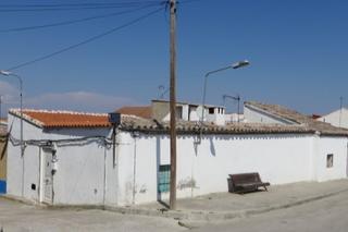 Pis  Callejón arte