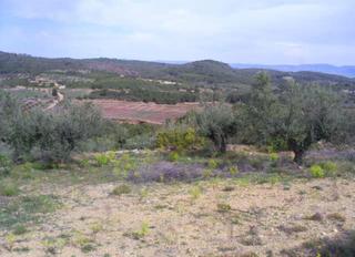 Terreno residenziale  Loma (la)