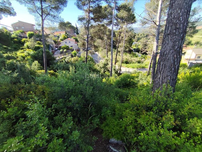 Foto 137620e9-5d34-4191-8d4d-b27386af0035. Terreno residencial en Piera