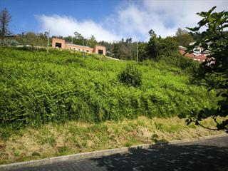Terreny residencial  Paseo maritimo