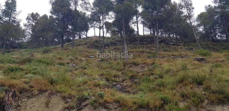 Foto 5b78d322-72bc-4554-b899-c1708a176878. Terrain résidentiel dans Castellgalí