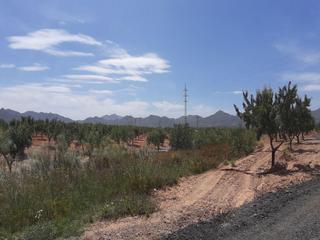 Residential Plot  Los barrancos y paganes