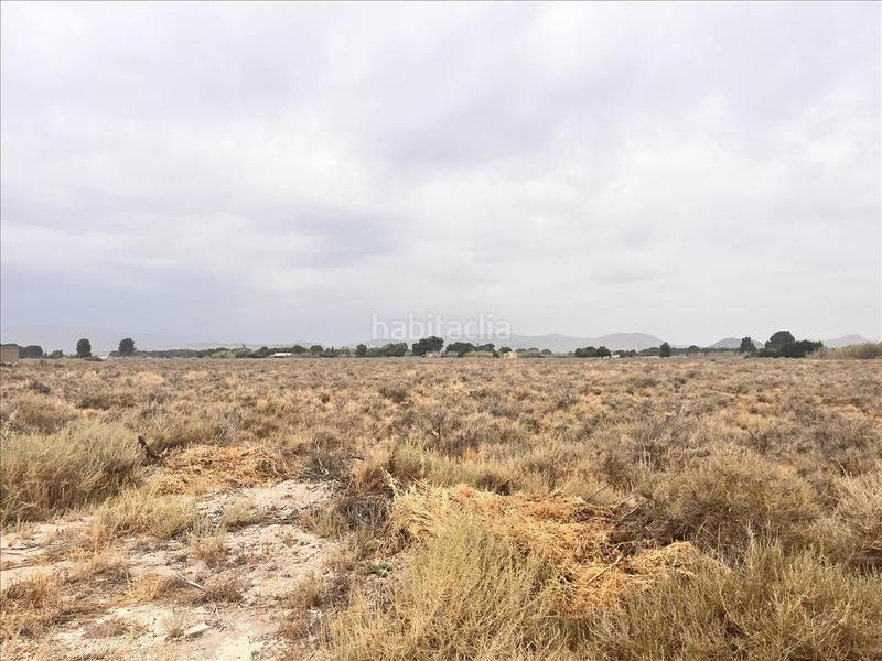 Foto 11e4e7d4-7327-4367-9ba9-f9c2454d8c86. Terreny residencial a Las Tiesas Villena