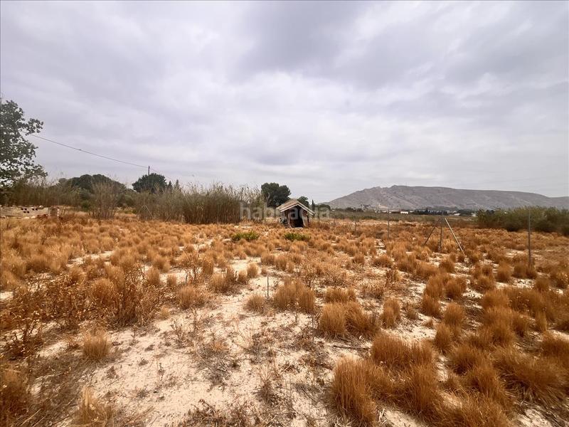 Foto b42a1eec-b640-4346-9191-16cfa07c00d1. Terreny residencial a Las Tiesas Villena
