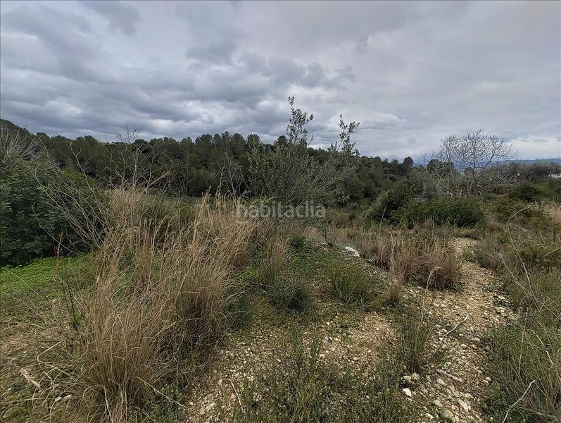Foto 03e1cc64-4054-41d9-aeb2-fa31cc1b1f01. Terreny residencial a Llosa de Ranes