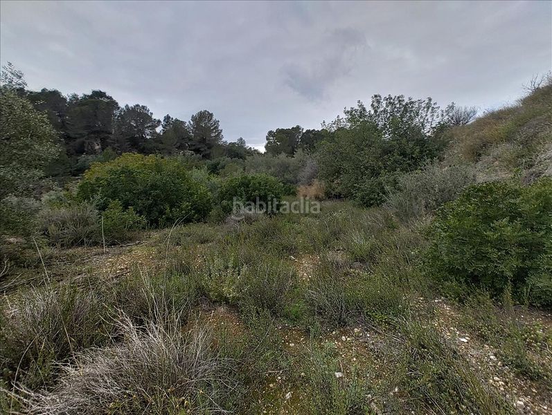 Foto 07951baf-8080-497a-b34a-c99fa2dff1b2. Terreny residencial a Llosa de Ranes
