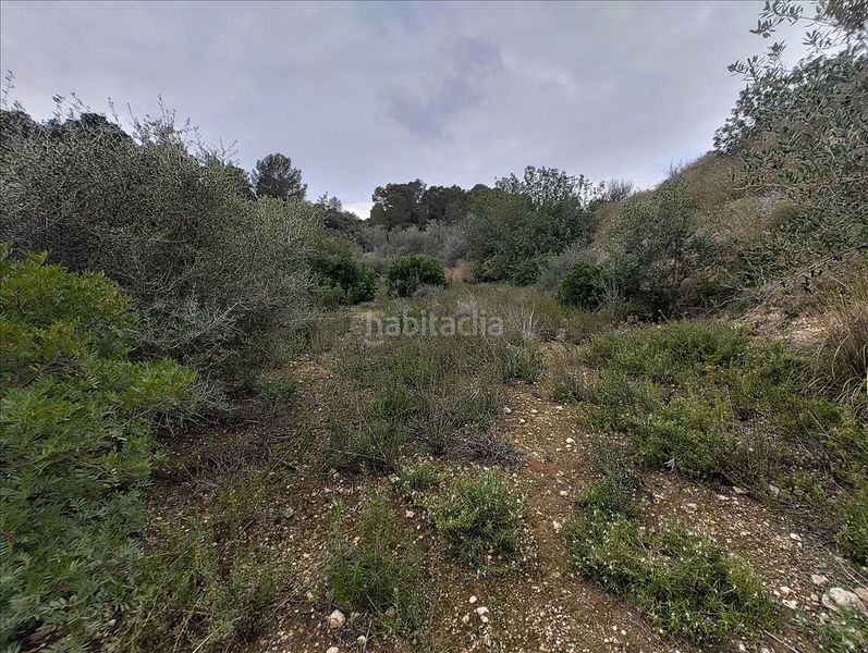 Foto 0f9c790b-5dec-4fe3-b5d7-4d9ab0594abe. Terreny residencial a Llosa de Ranes