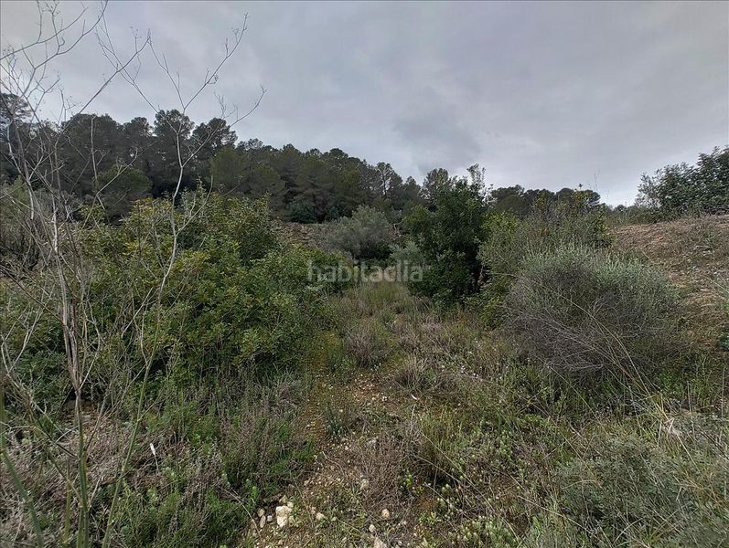 Foto 30744135-6d0f-4d07-871d-9f1a813675ab. Terreny residencial a Llosa de Ranes
