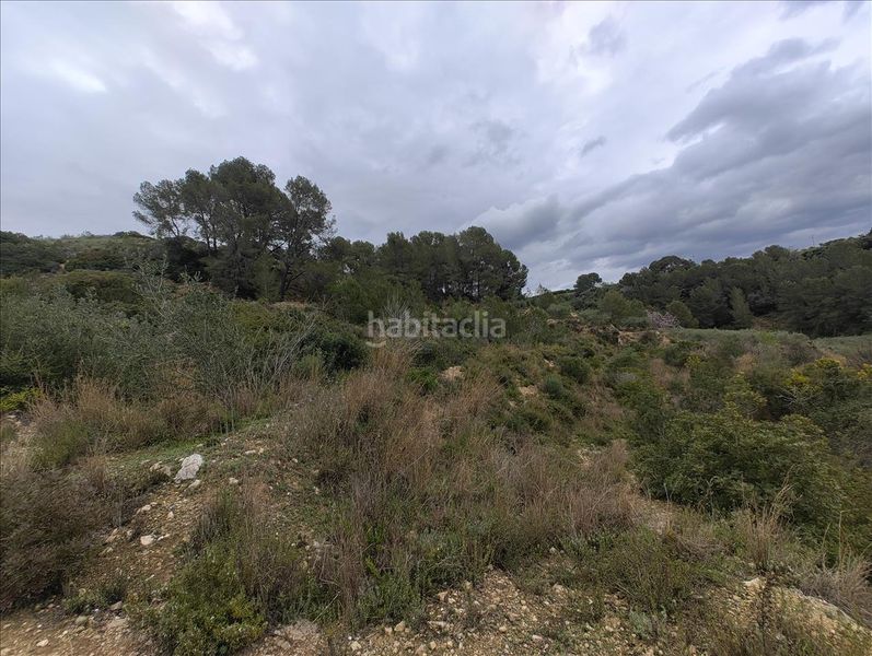 Foto 56faf4e0-c15b-434d-b439-89f461e6de7d. Terreny residencial a Llosa de Ranes