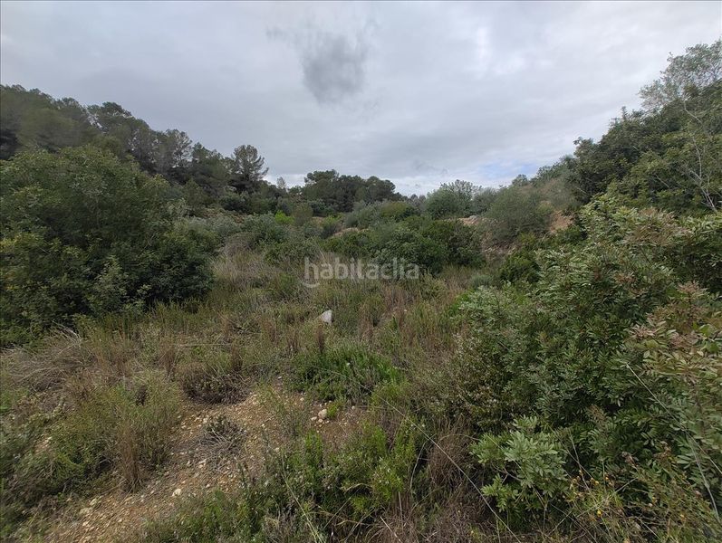 Foto adee3c3c-ed82-4b5c-affa-f4c29d4afedb. Terreny residencial a Llosa de Ranes