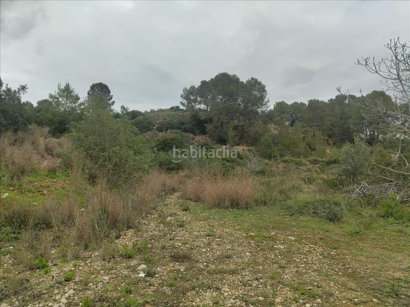 Foto c03a4fb1-b580-4f69-980c-eaf3242a38f1. Terreny residencial a Llosa de Ranes