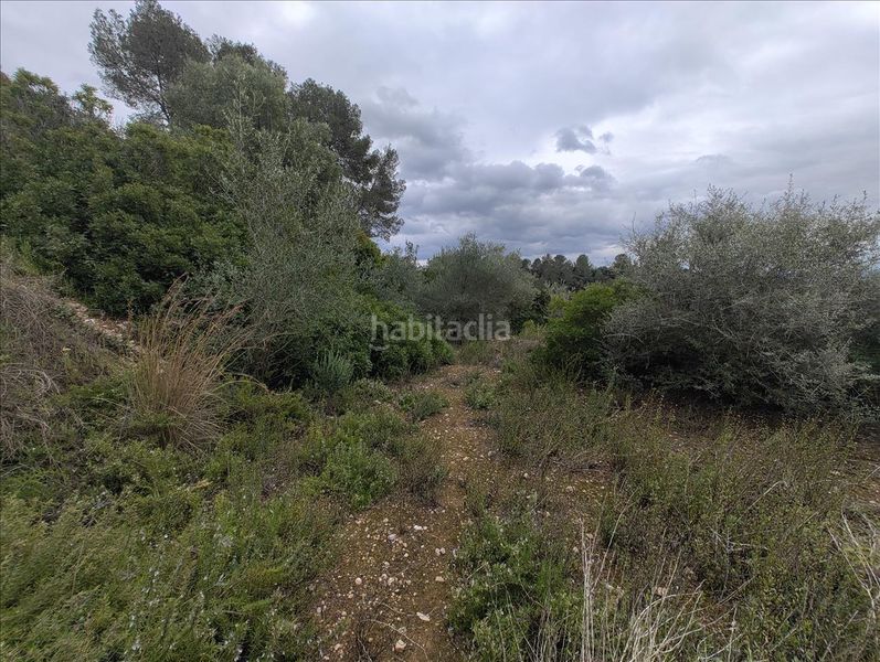 Foto c5c5a129-7faa-4b67-8627-63d4974a92ed. Terreny residencial a Llosa de Ranes