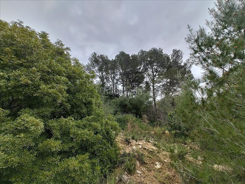 Foto d6301275-ee78-4d90-b66e-0456b772a6e3. Terreny residencial a Llosa de Ranes