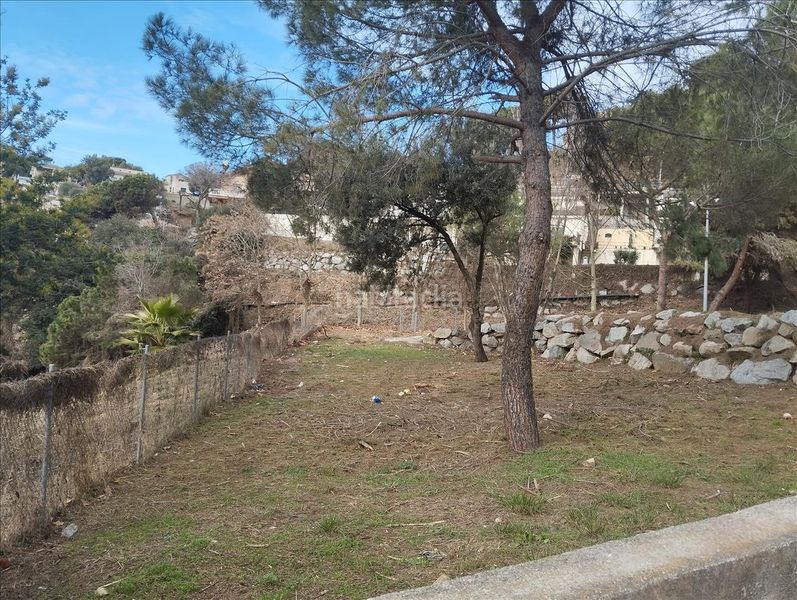 Foto 85d3e88f-3ebb-4465-a42c-425bb4d54d97. Terreny residencial a Can Massuet del Far Dosrius