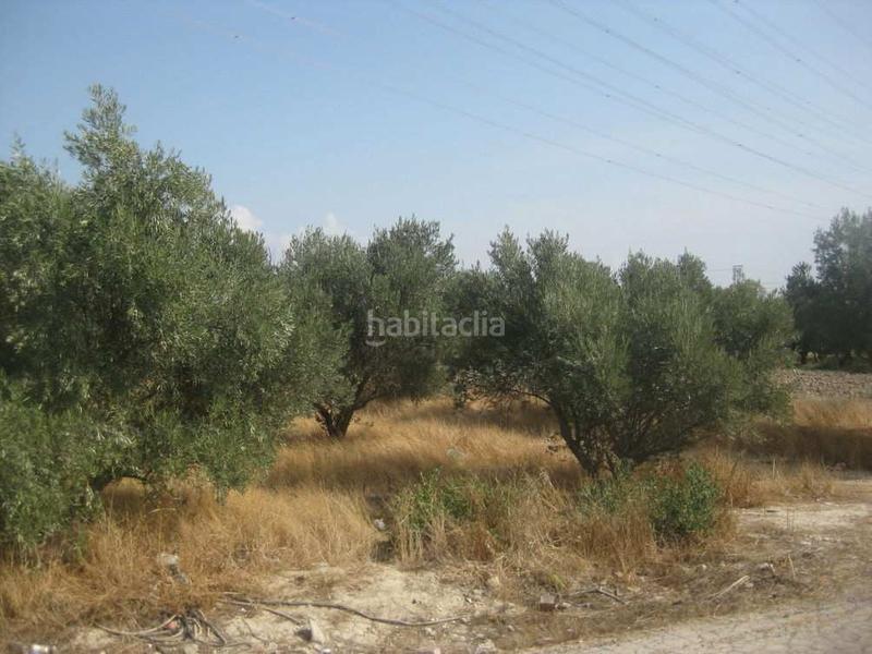 Foto b9cf3452-014d-41a7-875c-a6d25535ebe5. Terreno residenziale in Sangonera la Seca Murcia