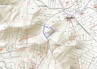 Residential Plot  Nº 81 parcela 618. paraje los simonetes