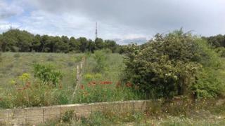 Terreny residencial  Pluto