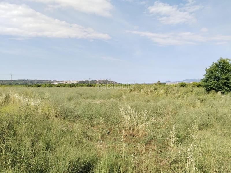 Foto 51f0c1f3-5a56-4e69-8cdb-aef3938a64ee. Terreny residencial a Cárcer