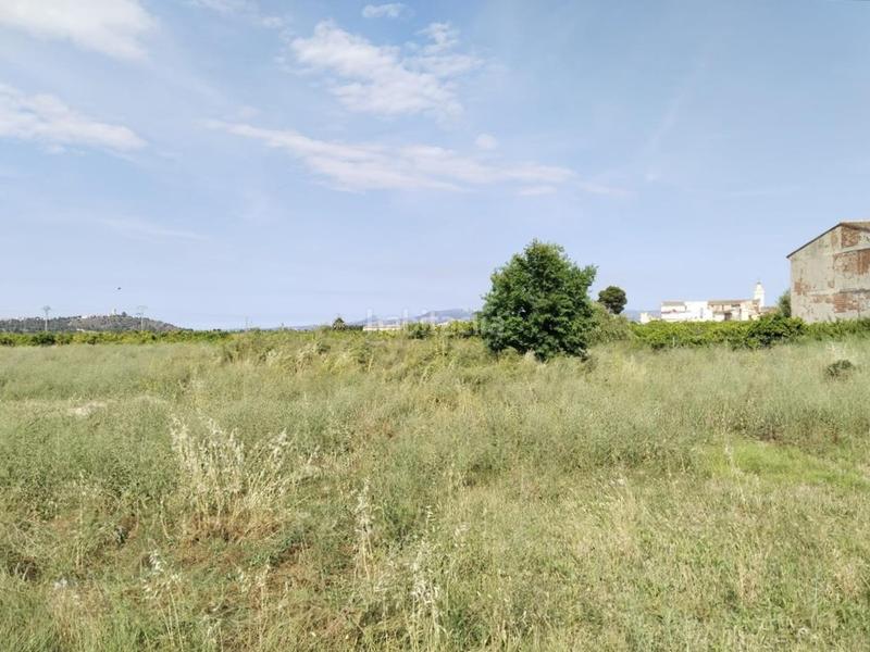 Foto 6f7fc982-6014-4480-9ab1-95e2b3ee2953. Terreny residencial a Cárcer