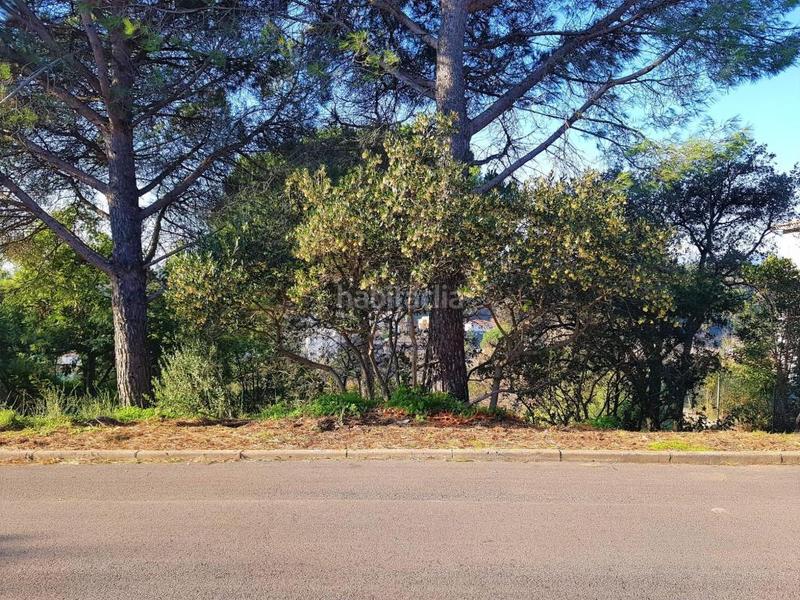 Foto f5961ebc-b4d5-46b0-8cd4-1cf76b6311bf. Terrain résidentiel dans Riells i Viabrea