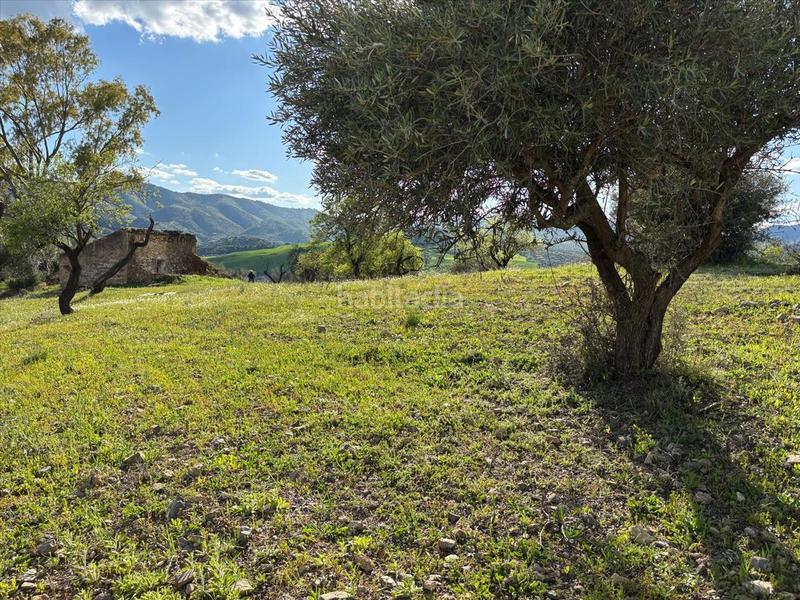 Foto 4f62c39a-c8bd-4c83-8d63-d3d7d92fb774. Terrain résidentiel dans Riogordo
