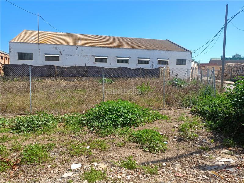 Foto fccfb90a-067f-41e7-842f-1a9db952e21d. Residential plot in Sollana