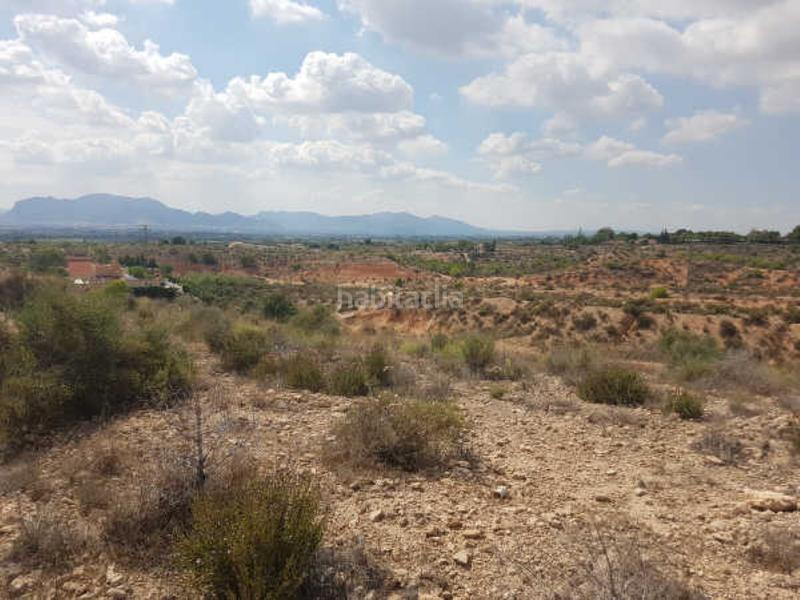 Foto 864bfc67-5e76-41a2-958c-7cbbf1d87f6c. Wohngrundstück in Albatera