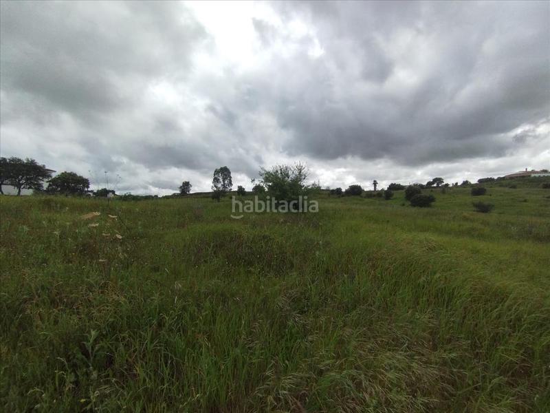 Foto c8413ff0-8ec0-4712-ac82-78f6fc71f679. Terreny residencial a Alosno