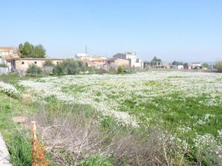 Terreny residencial  Gaudi