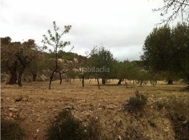 Foto 912d7235-a2f9-4008-a131-6b0d40e86d0b. Terreno residencial en Relleu