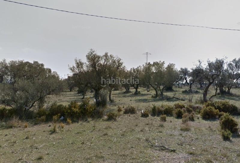 Foto 861ba69e-3730-4117-94d0-e14c575a1447. Terrain résidentiel dans Sénia (La)