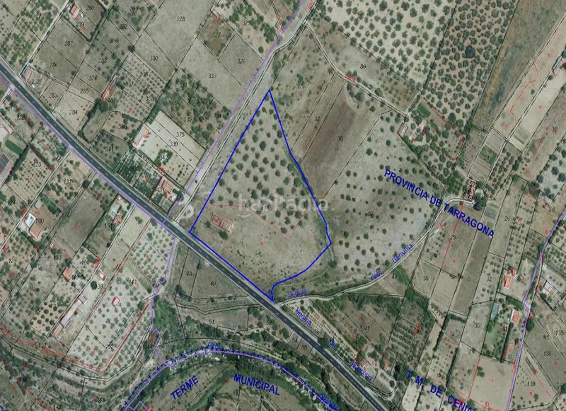 Foto c1dcdb2c-0aca-4638-b9cc-5346f7bc54c2. Terrain résidentiel dans Sénia (La)