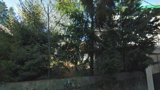 Pis  Calle juan de prida, n 4,1izq 1   planta 1 puerta izq